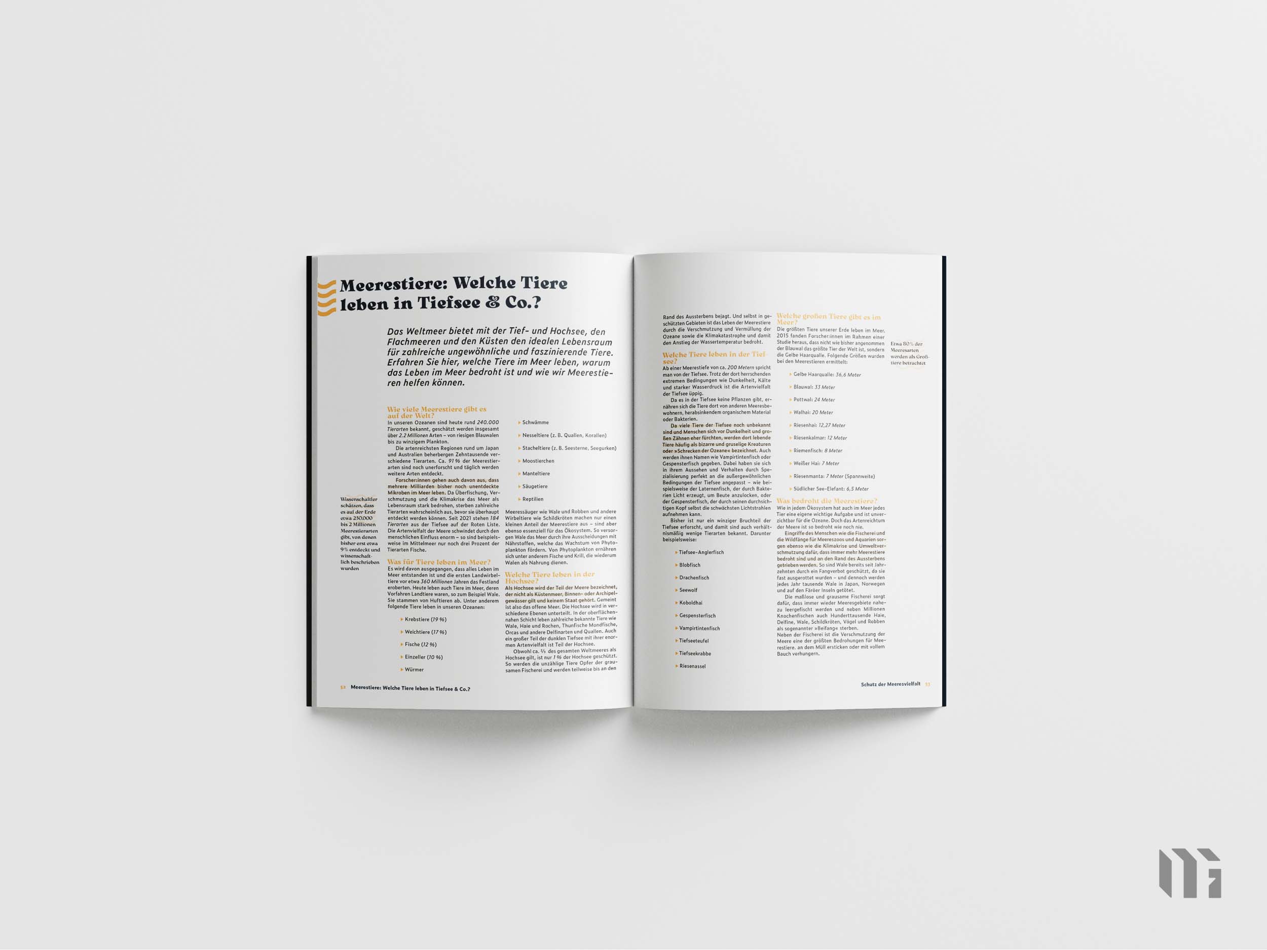 TauchEin Magazin Mockup-12